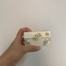 허벅지 모낭염 빠른 관리가 필수