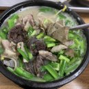 마로니에국밥 이미지