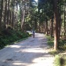 상아식당 이미지