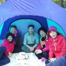 정미농장 Daum카페