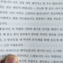 플람