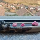 강빛마을 이미지