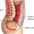 코어핏 PT&필라테스 이미지