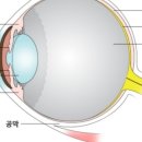 달그림자공원 이미지