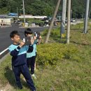 신호개발