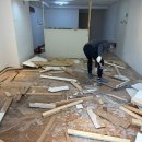 응암애견 이미지