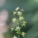 경희형제한의원 이미지