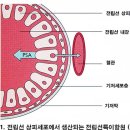 전림선암 검사 전 5일간 금욕해야 하는 이유 이미지