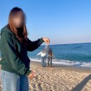 씨유강릉포남제일점 | 251122~251123 강릉여행/광주휴게소/포남사골옹심이/안목해변/카페뤼미에르/강릉이마트/안반데기/대관령...