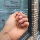 서구-01-147 | 웹툰작가가 운영하는 네일샵 모니뽀-대전 갈마동 시럽 네일아트 맛집