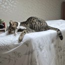 딩글딩글고양이 | 25년 5월 일상 사진첩 파먹기 1:)