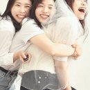 온기사진관 이미지