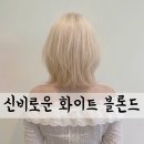 아이디컨설팅주 | "백금발 하면 개털 된다?" 웜톤/쿨톤 화이트 블론드 성공 법칙 + 머릿결 유지 홈케어 비법 🤍