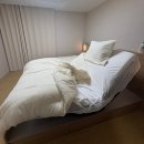 오키미키 모션베드 슈퍼싱글2개 +노랑나무몰 템파보드...2개 내돈내산 300만원으로 모션베드장만 솔직후기