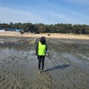 고현어촌계 휴양마을식당 | 아기와 갯벌체험 "남북동 어촌계"