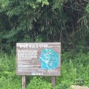 강선암주차장 네이버블로그