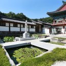 경기 조리사거리 경기도뉴스
