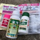 용고개농장 네이버블로그
