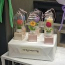 꽃보다강아지 | 대전 둔산동 꽃집 귀여운 강아지 꽃다발 내돈내산 후기, 달빛아래꽃