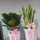 오늘도예쁘다 이미지