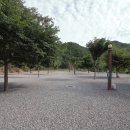 해바라기캠핑장 이미지