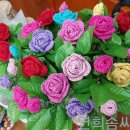 장미뜨개방 이미지