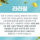일산주엽톡스앤필의원