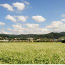 서대전역 이미지