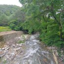 홍천소방서 내면119지역대 | 백두대간 트레일 8구간 *창촌리길* 역방향 진행 (23.06.27)홍천구간