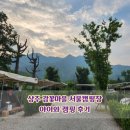 용포농장 | 아이와 다녀온 경북 상주감꽃마을 서울캠핑장ㅣ 텐트 제공되는 저렴한 캠핑장 추천!