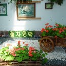 거제도애광원 이미지