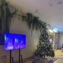 키코1983 이미지