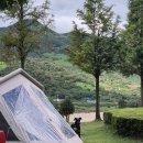 회남재길 | 바까트로 (하동여행편) 후기 (대형견 동반)