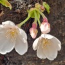 까치공원 이미지