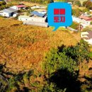 백운면 2408 이미지