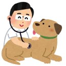 다정한 동물병원 이미지
