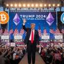 매일세일(공) 이미지