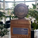 예은결혼정보 이미지