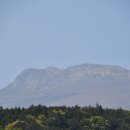 오세열농장 이미지