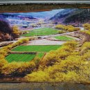 산수유피는마을 이미지