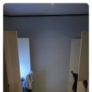 어반트리스터디카페 - 북구 박상진13로 3 | 어반트리스터디카페