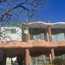 대추나무식당 이미지