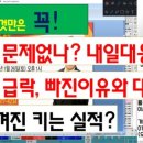 디와이엔터