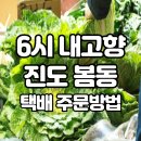 조은세상영농조합법인 | 3월10일 6시내고향 진도 봄동 조은세상영농조합 택배 주문 연락처