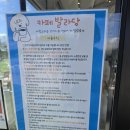 댕댕이 카페 | 인천 계양구 애견카페 카페발라당 댕댕이랑 힐링하고 온 내돈내산 후기