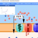 [2026 AI 디지털 기반 과학 선도교원] 2~3일차, 연수 이수(MBL, 알파폴드, 지능형 과학실 ON 솔직 후기)