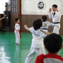 용인대노원태권도체육관 이미지