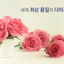 장미나라 이미지