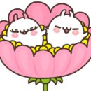 터넌스 이미지