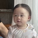 아랑디애월